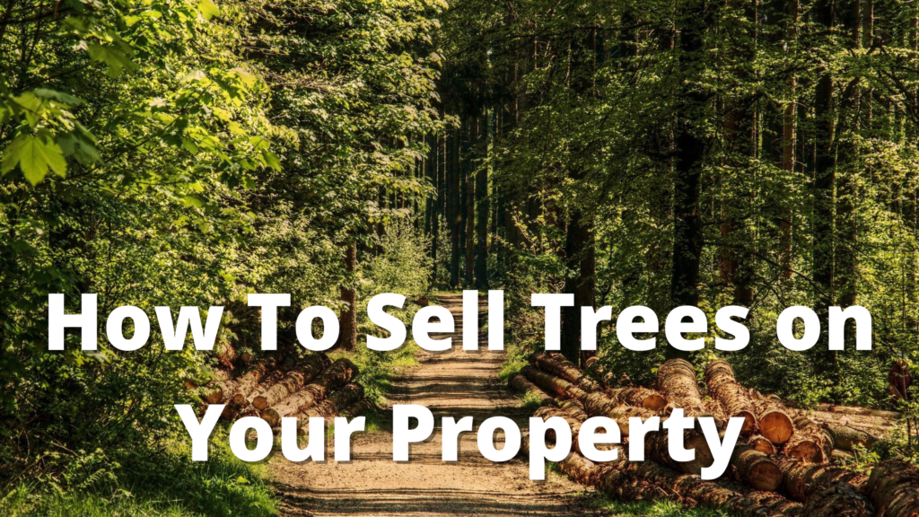 What Trees Are Most Profitable to Sell?