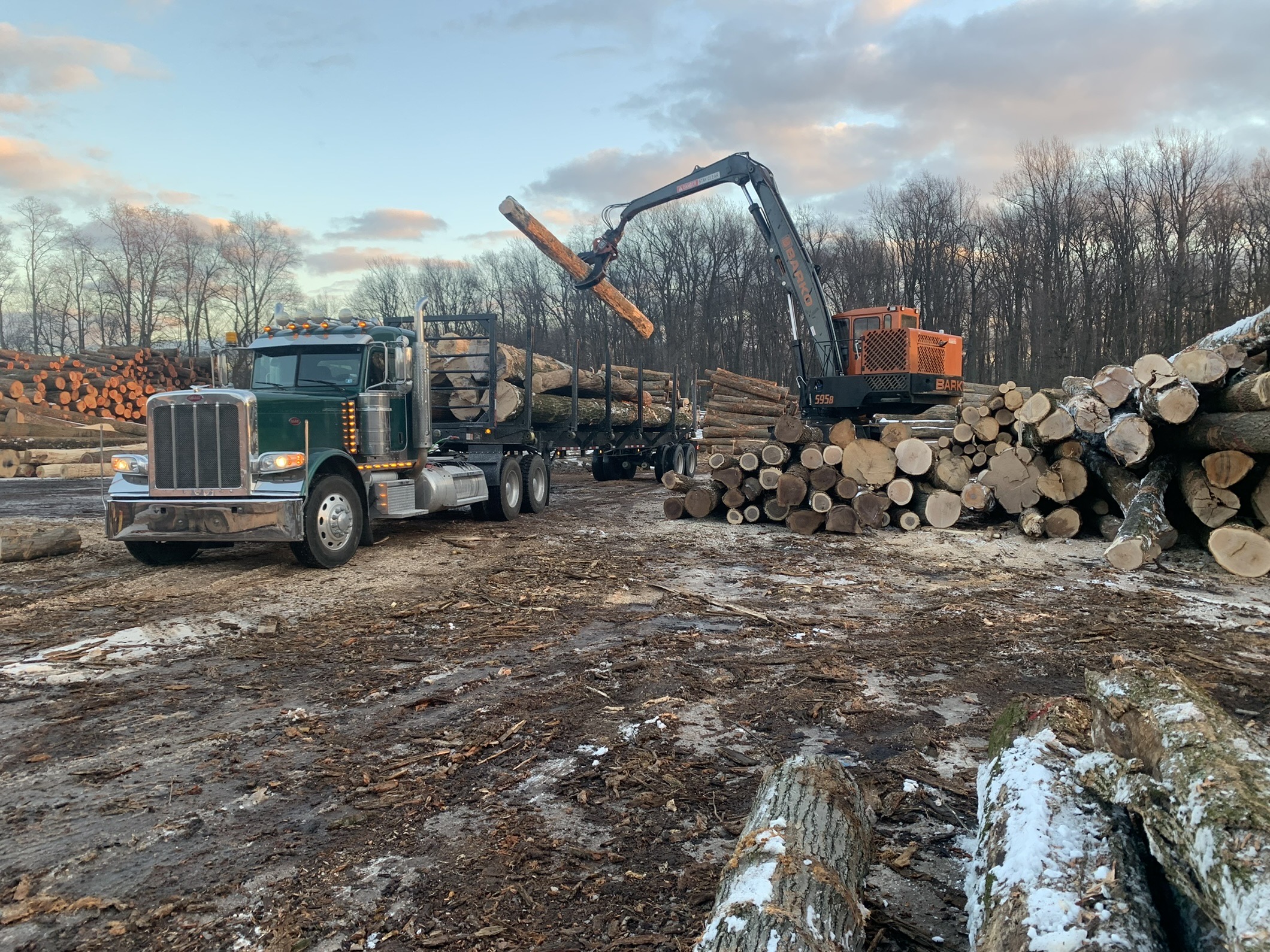 https___beilersawmill.com_about-us_ (1)